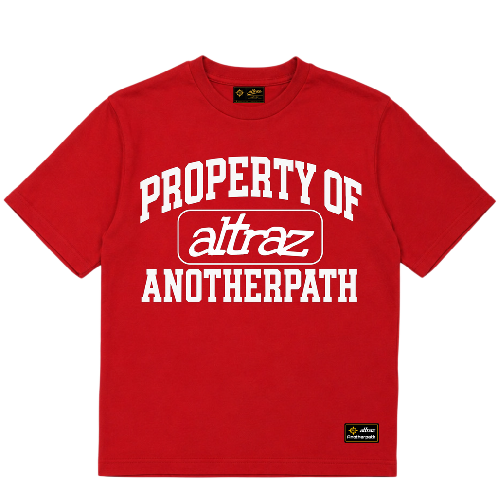 T-shirt property of altraz