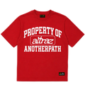 T-shirt property of altraz