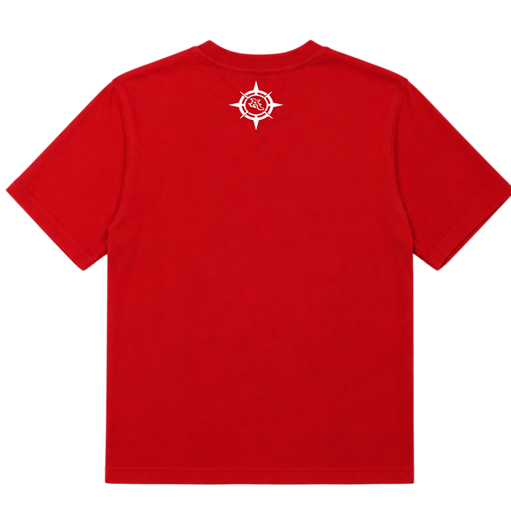 T-shirt property of altraz