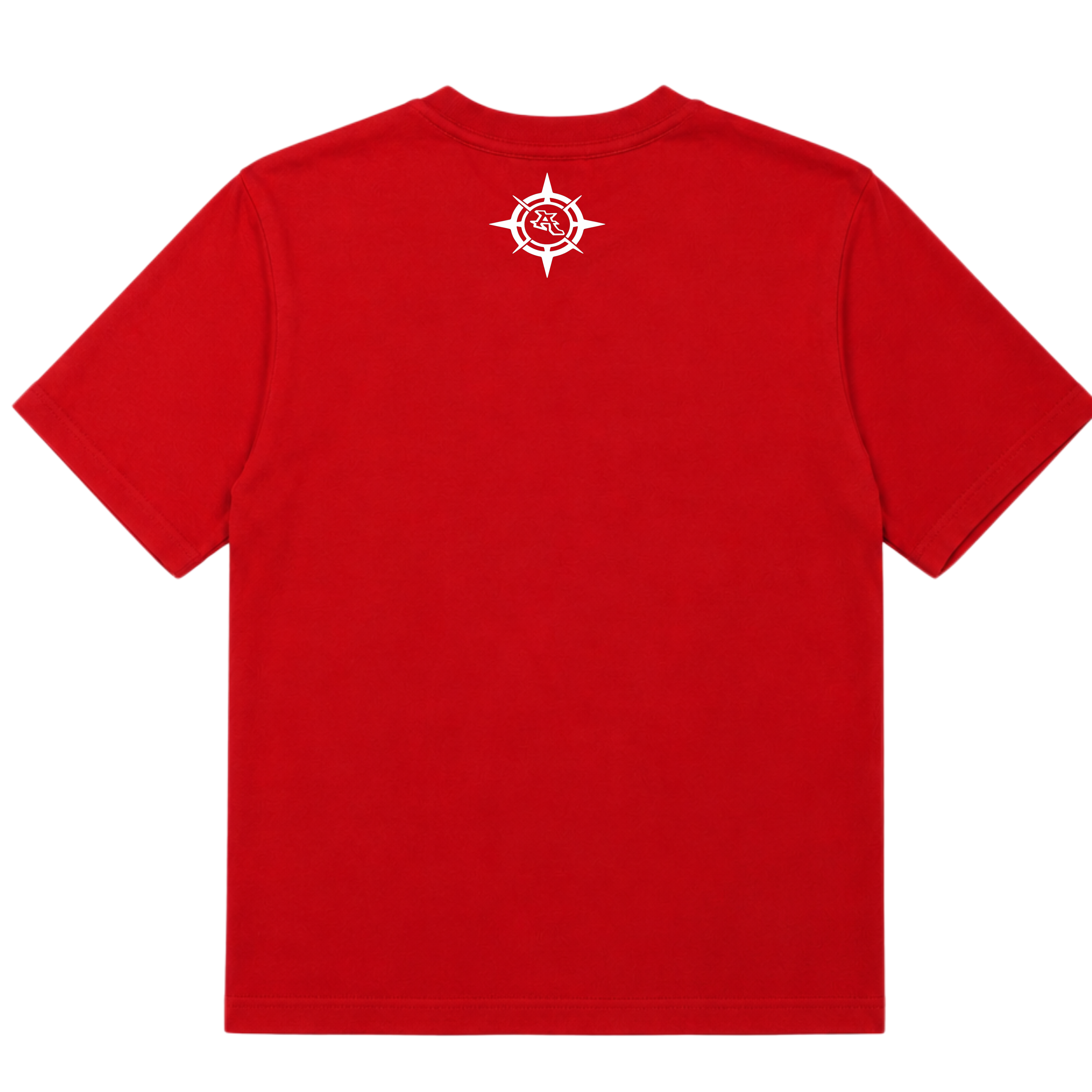 T-shirt property of altraz